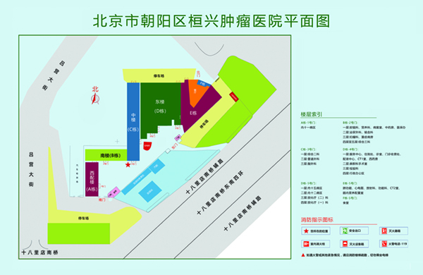 中国老太太日逼免费看北京市朝阳区桓兴肿瘤医院平面图